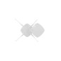 Extreme Networks Wireless Access Point 2400